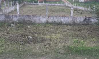 Imagem 6: Terreno medindo 706,26 m