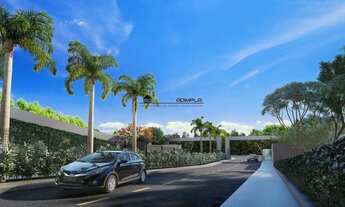 Imagem 4: Homer Captações] --2221926