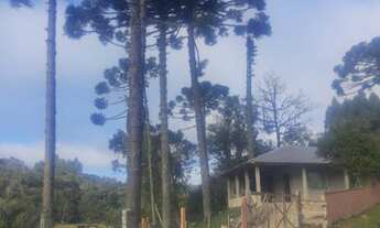 Imagem 2: Chácara São José dos pinhais