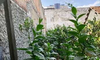 Imagem 4: Lote/Terreno plano para venda possui 150 M² no Ipiranga - São Paulo - SP