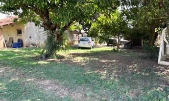 Imagem 3: Chácara em Saltinho - 100% placa - 5 mil metros