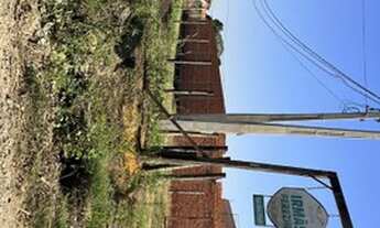 Imagem 5: Chácara em Saltinho - 100% placa - 5 mil metros