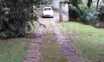 Imagem 4: Terreno - Joaquim Egídio - Campinas