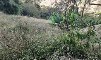 Imagem 4: Maravilhosa Chácara com 29.800m2 na serra da Mantiqueira em Delfim Moreira/MG