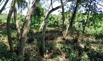 Imagem 6: LOTE/Terreno para venda possui 1357 m2, COM PROJETO PARA PRÉDIO, Recreio dos Bandeirantes