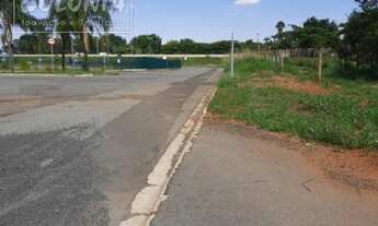 Imagem 3: Limeira - Terreno Padrão - Graminha