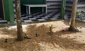 Imagem 2: Conjunto Castanheira- Aleixo