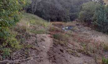 Imagem 7: Maravilhosa Chácara com 29.800m2 na serra da Mantiqueira em Delfim Moreira/MG