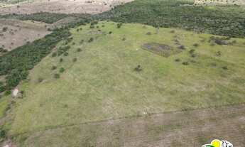 Imagem 4: Fazenda à Venda em Jeremoabo - Bahia - Área com Potencial p / Agricultura e Pecuária