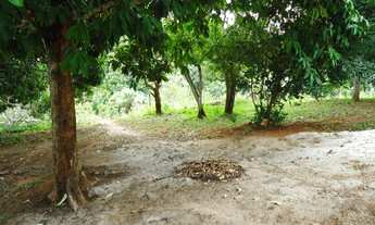 Imagem 4: TERRENO RESIDENCIAL em LAURO DE FREITAS - BA, PORTÃO