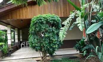 Imagem 2: Chácara a venda