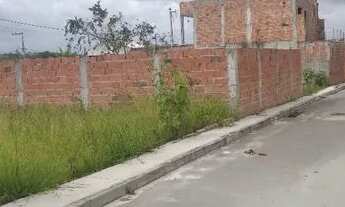 Imagem 3: Terreno 10X20 (Plano) Jardim Limoeiro - Camaçari/BA