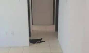 Imagem 2: Apartamento padrão c/ cobertura