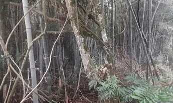 Imagem 4: Terreno ótimo para construir comercial ou residencial avenida prox centro