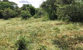 Imagem 5: Oportunidade Lote situado no Casquilho/ Conceição do Pará