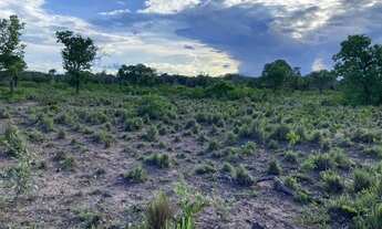 Imagem 7: Fazenda 420 Alqueires ou 2.032,80 hectares