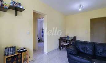 Imagem 5: São Paulo - Apartamento Padrão - Tatuapé