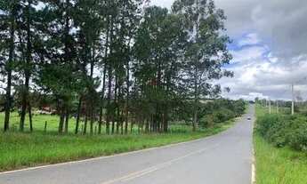 Imagem: Vende-se lotes de Mil Metros em Sarapui