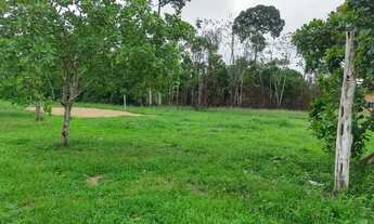 Imagem 2: Chácara na linha do caju