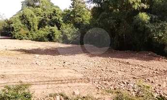 Imagem 3: TERRENO COMERCIAL E INDUSTRIAL NA CRISTOVÃO COLOMBO, AO LADO DA KLABIN