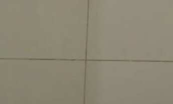 Imagem 3: Casa de aluguel Casa com 1 dormitório