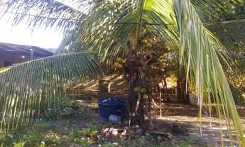 Imagem 6: Terrenos de 300m2