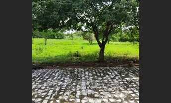 Imagem: Terreno de chácara