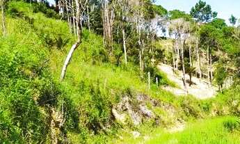 Imagem: Terreno bem inclinado no alto de Morro Porto
