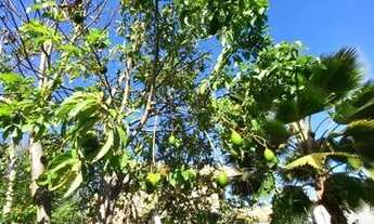 Imagem 2: Casa Térrea nascente a venda na Cascalheira próximo ao MIX, rua asfaltada