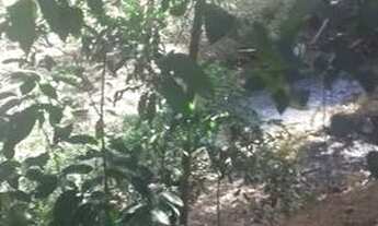 Imagem 3: Vende-se chácara em hidrolandia