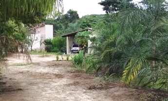 Imagem 3: Vendo chácara Chácara com venda por R$320.000