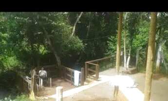 Imagem 4: Chacara em caldazinha com casa de 3/4 pomar riacho no fundo