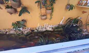 Imagem 7: São Paulo - Casa Padrão - Vila Nova