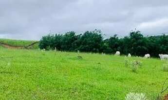 Imagem 4: Terrenos com ótimas topografia