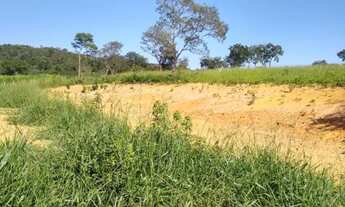 Imagem 2: Chácara 20.000 m², plano, riacho nos fundos, terra fértil. Jaboticatubas