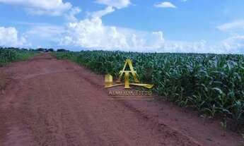 Imagem 4: Fazenda à Venda - Zona Rural - Diamantino/MT