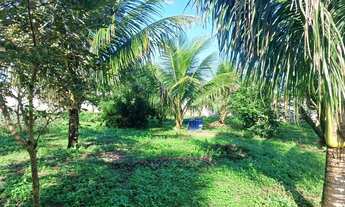 Imagem 7: Propriedade em Amélia Rodrigues