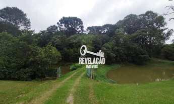 Imagem 4: Chácara com 3 dormitórios à venda, 45000 m² por R$ 2.000.000,00 - Roça Velha - São José do