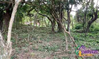 Imagem 2: AREA - JARDIM PARAÍSO DA USINA - SP