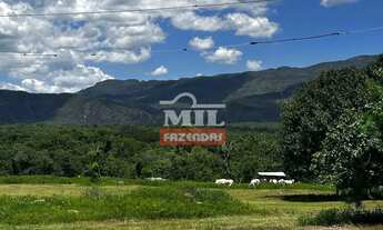 Imagem 4: Fazenda 363 alqueires ( 1.760 hectares ) Colinas do Sul-GO