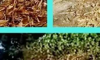 Imagem 2: Terreno residencial ou comercial de 450m² no bairro Praia Linda São Pedro da Aldeia