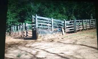 Imagem 4: Fazenda com 127 alqueires em Barro Alto - GO - Rica em água e potencial de investimento. E