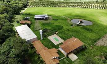 Imagem 2: Ótimo sítio em abacate montado de porteira fechada no interior de São Paulo