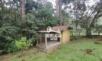 Imagem 7: Chácara com 3 dormitórios à venda, 45000 m² por R$ 2.000.000,00 - Roça Velha - São José do