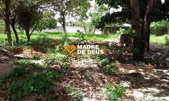 Imagem 6: Terreno comercial à venda, Lagoa Redonda, Fortaleza