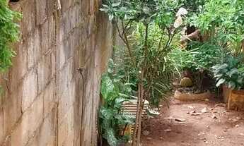 Imagem 2: Casa simples em lote de 300m quadrados