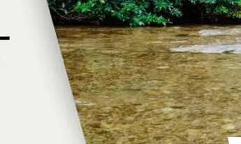 Imagem 4: Vendo lote com acesso ao Rio Coxipó - Região do Coxipó do Ouro - Ponte de Ferro ferr