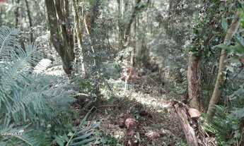 Imagem 7: Terreno à venda em Canela!