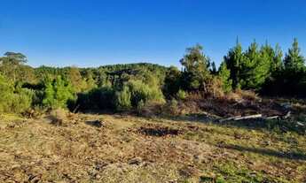 Imagem 2: Terreno - Bairro Santa Terezinha