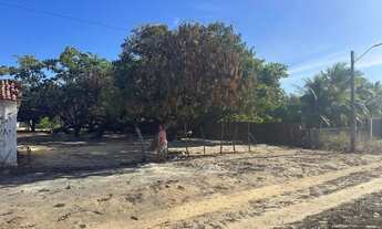 Imagem 4: Terreno Próximo a Caponga